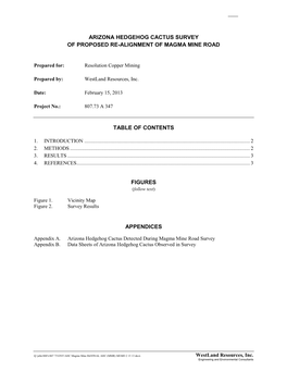 Arizona Hedgehog Cactus Survey of Proposed Re-Alignment of Magma Mine Road