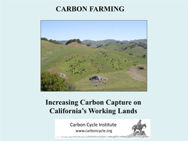 Carbon Farming