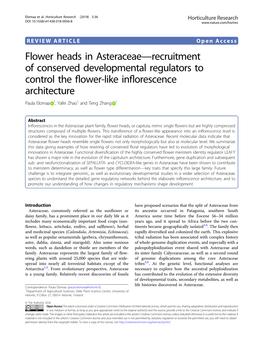Flower Heads in Asteraceae—Recruitment of Conserved