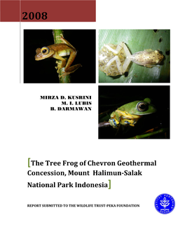 The Tree Frog of Chevron Geothermal Concession, Mount Halimun-Salak