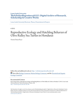 Reproductive Ecology and Hatchling Behavior of Olive Ridley Sea Turtles in Honduras Noemi Duran Royo