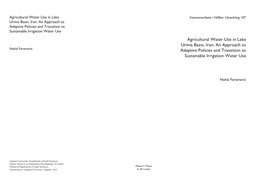 Agricultural Water Use in Lake Urmia Basin, Iran: an Approach to Nahal Faramarzi Adaptive Policies and Transition to Sustainable Irrigation Water Use