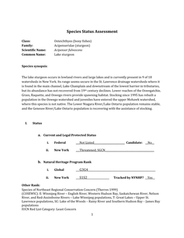 Species Assessment for Lake Sturgeon