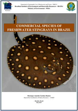 Commercial Species of Freshwater Stingrays in Brazil
