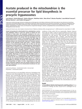 Acetate Produced in the Mitochondrion Is the Essential Precursor for Lipid Biosynthesis in Procyclic Trypanosomes