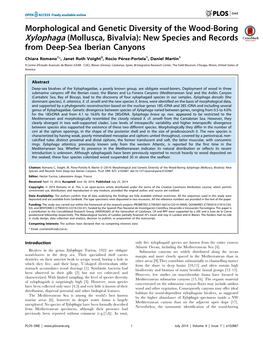 Morphological and Genetic Diversity of the Wood-Boring Xylophaga (Mollusca, Bivalvia): New Species and Records from Deep-Sea Iberian Canyons