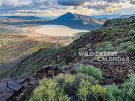 Wild Desert Calendar Wild Desert Calendar