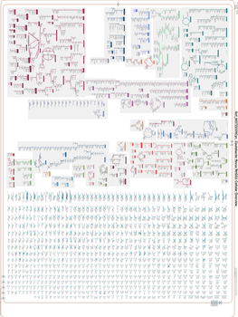 Generated by SRI International Pathway Tools Version 25.0, Authors S