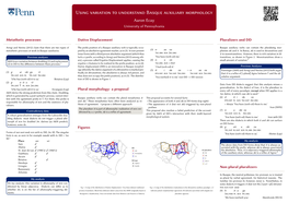 Using Variation to Understand Basque Auxiliary Morphology Using