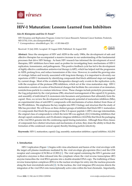 HIV-1 Maturation: Lessons Learned from Inhibitors