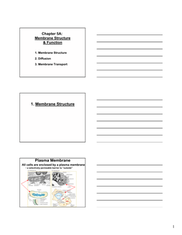 1. Membrane Structure Plasma Membrane