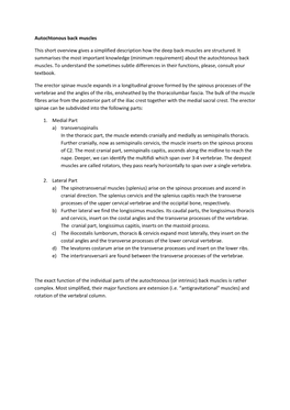 Autochtonous Intrinsic Muscles of the Back