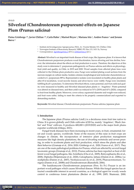 Chondrostereum Purpureum) Effects on Japanese Plum (Prunus Salicina)