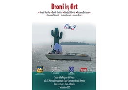 Pdf Droni by Art 29 08 2015