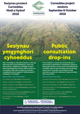 Public Consultation Drop-Ins Sesiynau Ymgynghori Cyhoeddus