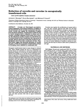 Reduction of Caveolin and Caveolae in Oncogenically Transformed Cells (Cancer/Growth Regulation/Oncogene/Potocytosis)