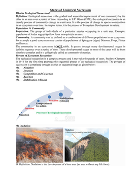 Stages of Ecological Succession