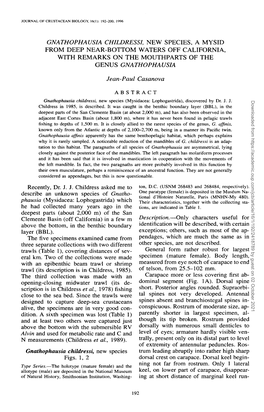 Gnathophausia Childressi, New Species, a Mysid from Deep Near-Bottom Waters Off California, with Remarks on the Mouthparts of the Genus Gnathophausia