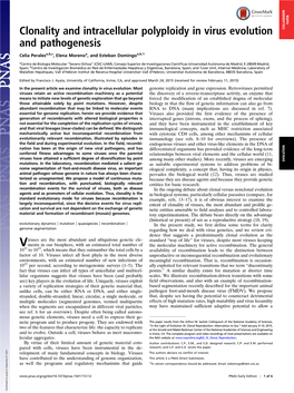 Clonality and Intracellular Polyploidy in Virus Evolution and Pathogenesis