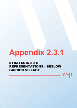 Appendix 2.3.1