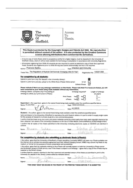 Pranvera Sadiku Thesis Final Submission.Pdf