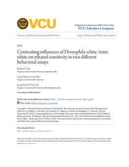 Contrasting Influences of Drosophila White/Mini-White on Ethanol Sensitivity in Two Different Behavioral Assays