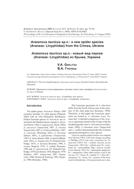 Araeoncus Tauricus Sp.N.: a New Spider Species (Araneae: Linyphiidae) from the Crimea, Ukraine