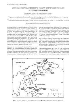 A Newly Discovered Breeding Colony of Emperor Penguins Aptenodytes Forsteri