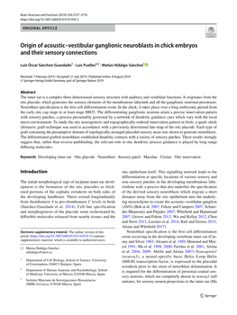 Origin of Acoustic–Vestibular Ganglionic Neuroblasts in Chick Embryos and Their Sensory Connections