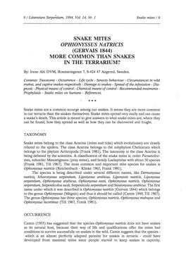 Snake Mites Ophionyssus Natricis (Gervais 1844) More Common Than Snakes in the Terrarium?