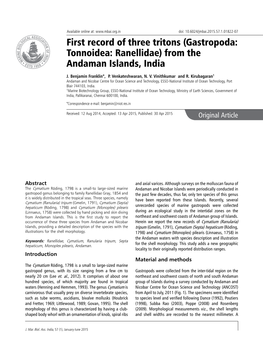 (Gastropoda: Tonnoidea: Ranellidae) from the Andaman Islands, India