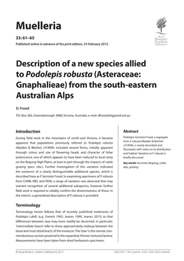 Description of a New Species Allied to Podolepis Robusta(Asteraceae