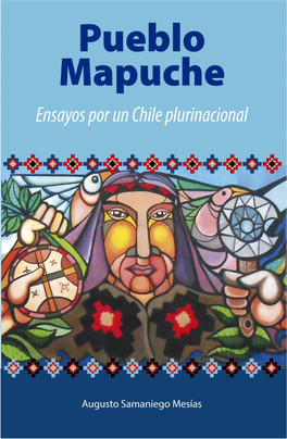 25 Pueblo Mapuche.Pdf