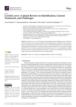 Candida Auris: a Quick Review on Identiﬁcation, Current Treatments, and Challenges