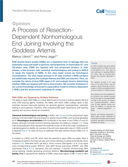 A Process of Resection-Dependent Nonhomologous End