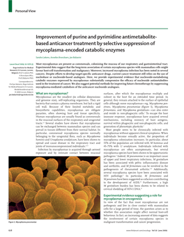 Improvement of Purine and Pyrimidine Antimetabolite-Based Anticancer