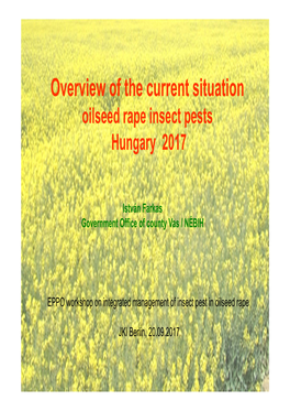 Oilseed Rape Insect Pests in Hungary