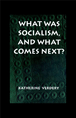 What Was Socialism, and What Comes Next? Editors