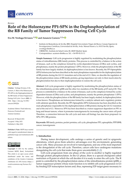 Role of the Holoenzyme PP1-SPN in the Dephosphorylation of the RB Family of Tumor Suppressors During Cell Cycle