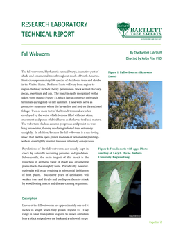 Fall Webworm by the Bartlett Lab Staff Directed by Kelby Fite, Phd