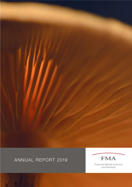 Fma-Annual-Report-2019.Pdf