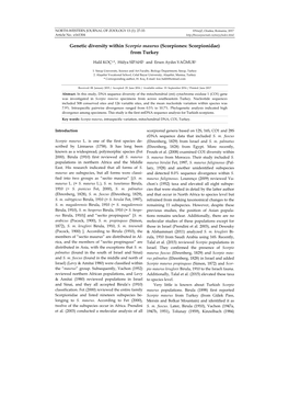 Genetic Diversity Within Scorpio Maurus (Scorpiones: Scorpionidae) from Turkey