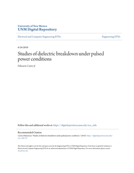 Studies of Dielectric Breakdown Under Pulsed Power Conditions Palmarin Castro Jr