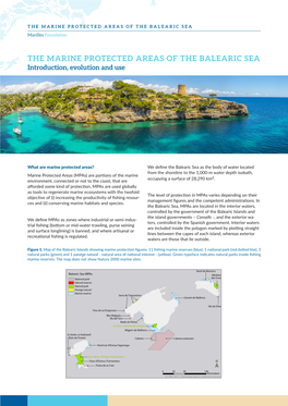 THE MARINE PROTECTED AREAS of the BALEARIC SEA Marilles Foundation