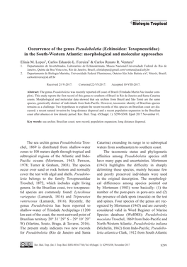 (Echinoidea: Toxopneustidae) in the South-Western Atlantic: Morphological and Molecular Approaches