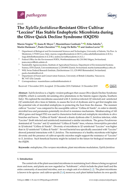 The Xylella Fastidiosa-Resistant Olive Cultivar “Leccino” Has Stable Endophytic Microbiota During the Olive Quick Decline Syndrome (OQDS)