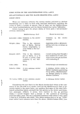 Some Notes on the Mediterranean Gull Larus Melanocephalus and the Black-Headed Gull Larus Ridibundus