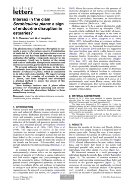 Intersex in the Clam Scrobicularia Plana