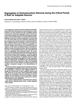 Segregation of Geniculocortical a Role for Subplate Neurons