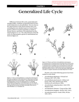 Generalized Life Cycle